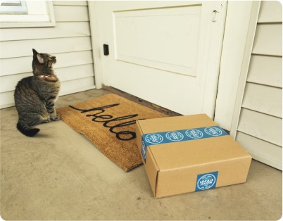 Free Shipping